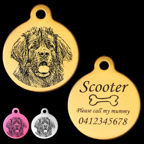 Leonberger Engraved 31mm Large Round Pet Dog ID Tag